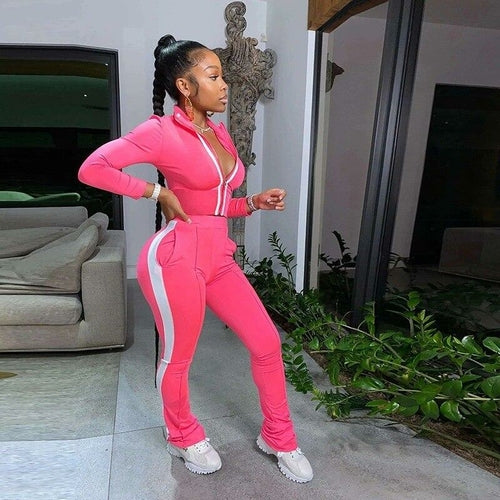 Pink Pant Suits Long Sleeve Stand Collar Two Piece Set